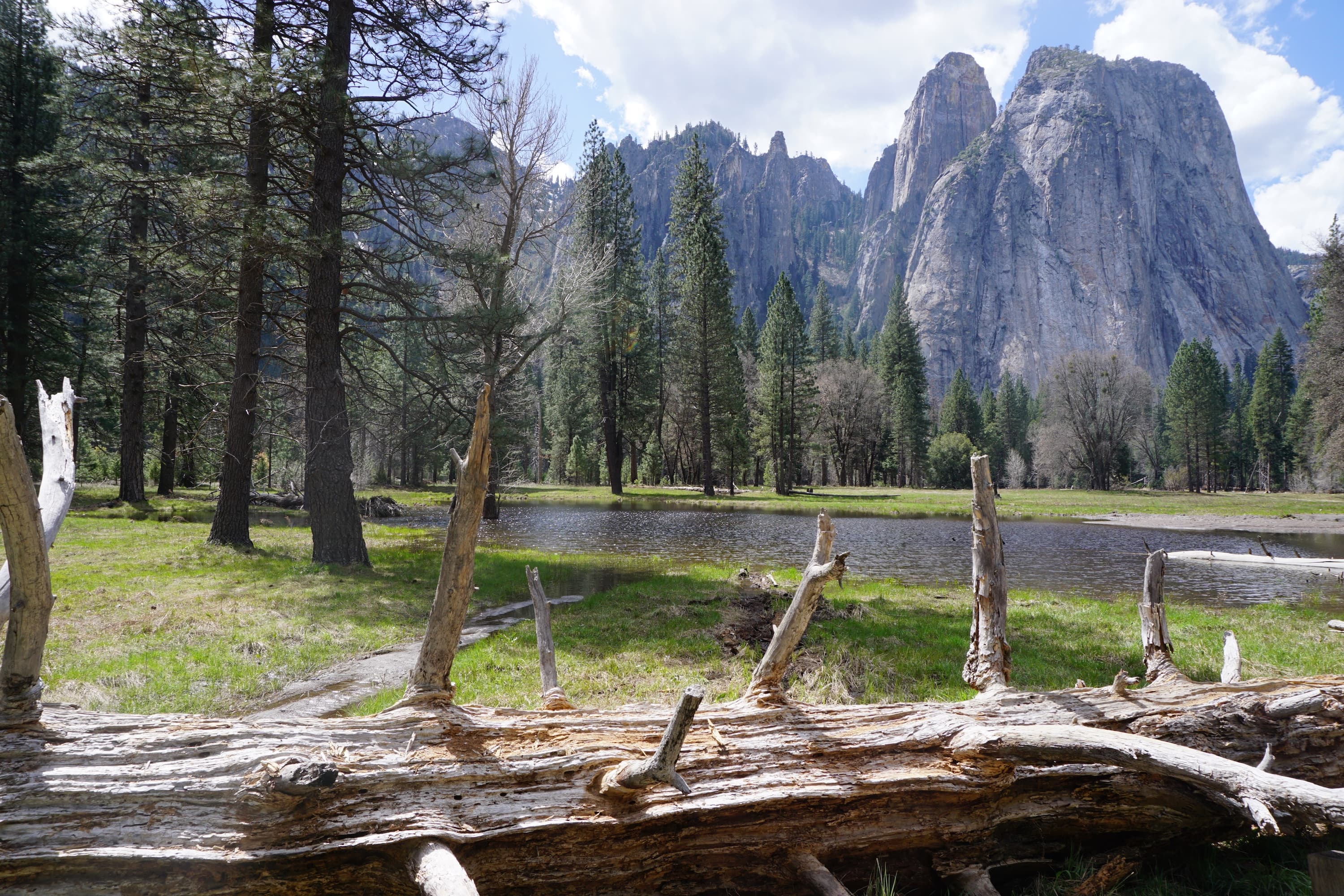 Why Next.js is the Ultimate Framework for Building Fast, Professional, Scalable Websites with Built-in CMS and AI Chatbots